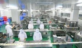 食品工厂爆料怎么做的视频,爆款视频背后的制作过程